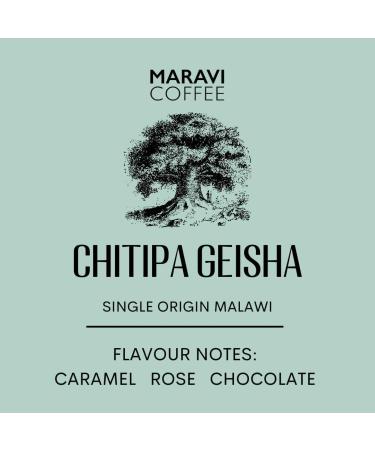 Maravi Speciality Coffee - Malawi Chitipa Geisha Coffee - Drip Grind Coffee - Medium Roast - Caramel Rose & Chocolate Notes - 1 kg Drip Grind 1 kg (Pack of 1) - Buy Online on GoSupps.com