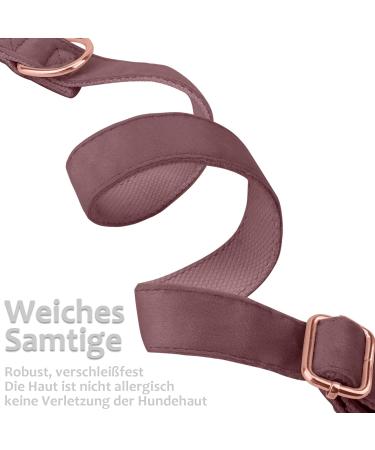 Shop Asvin Dark Pink Velvety Dog Collar - Soft Comfortable & Removable Fly | Perfect for Weddings Birthdays & Parties - Multi-Color Options Available - Buy Online on GoSupps.com