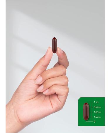 Black Seed Oil 2000mg Softgels - Cold Pressed Nigella Sativa Capsules | 120 Count, Non-GMO & Gluten Free by Horbaach - Buy Online on GoSupps.com