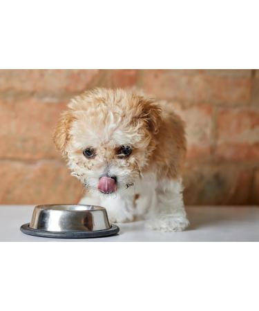 10 x 450g Dog Sausage | Beef Roll | Wet Dog Food | Dog Sausage | Dog Food | Dog Sausage | Premium Beef Sausage - Buy Online on GoSupps.com