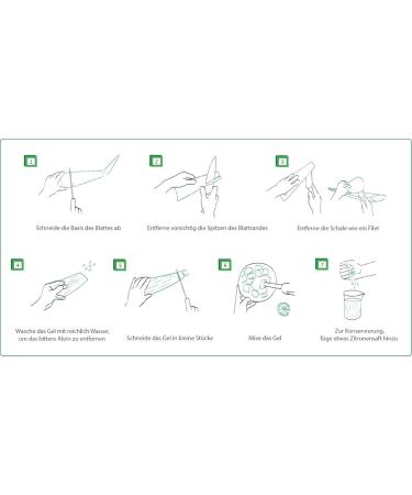 Buy 5 x Best Organic Aloe Vera Barbadensis Leaves - Natural Health Benefits for All | International Shipping Available - Buy Online on GoSupps.com