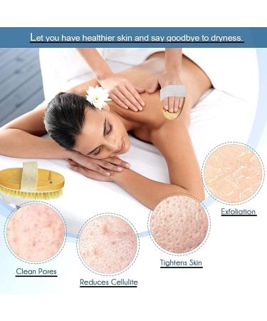 Natural Bristle Dry Brush for Skin Massage and Exfoliation | Lymphatic Drainage and Cellulite Removal | Body Scrubber for Back, Underarms, Legs, and Feet - Buy Online on GoSupps.com
