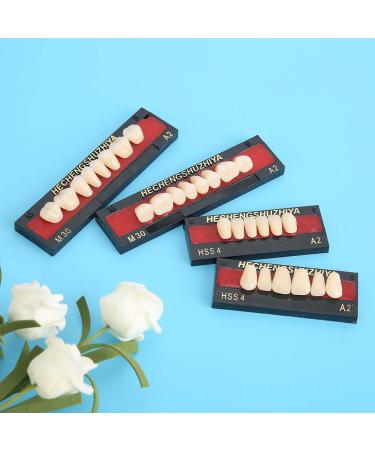 High-Quality Synthetic Resin False Teeth | Dental Prosthesis for Oral Cavity Loss - Buy Online on GoSupps.com