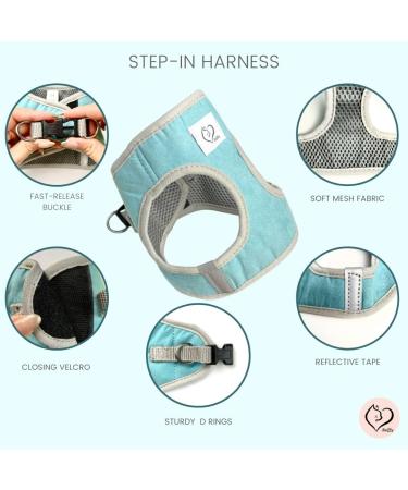 Belffy Cat Dishes & Leash Set - Automatic Leash for Cats Kittens & Dogs | Outbreak-Proof Jacket for All Sizes - Small Blue - Buy Online on GoSupps.com