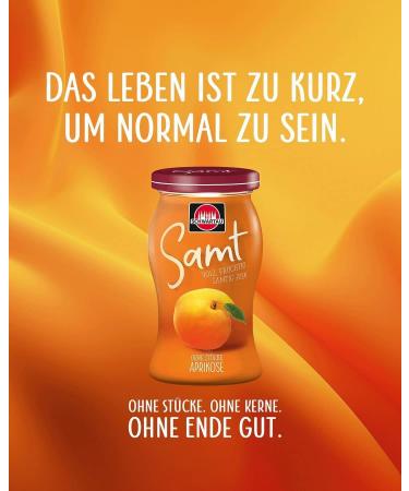 Schwartau Samt Apricot Fruit Spread 270g - Smooth Seedless No Pieces - Premium Quality Jam for International Shipping - Buy Online on GoSupps.com