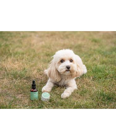 Active Silver Animal Care Premium Colloidal Silver 25ppm for pet care Pipette Dropper Bottle (50ml) - Buy Online on GoSupps.com