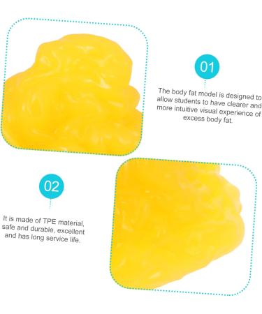 POPETPOP Fat 1lb Fat Model Manikin Demonstration for Fitness Room 5lb Fat Human Body Fat Replica Sports Student Base - Buy Online on GoSupps.com