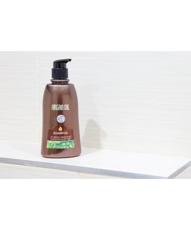 Care Boutique Argan Oil From Morocco Shampoo 350 ml - Buy Online on GoSupps.com