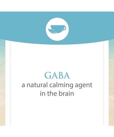 Buy Natural Factors Stress-Relax Pharma GABA 100mg - 60 Chewable Tablets for Stress Relief - Buy Online on GoSupps.com