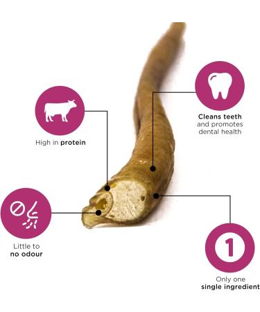 Only One Treats Bully Sticks 12 Jumbo Beef Dental Sticks for Dogs Dental Health Natural and Fully Digestible Jumbo Dog Chew Training Treats for Small to Medium Pets and Gentle Chewers (15 Pack) 15 count (Pack of 1) 12" Pack of 15 - Buy Online on GoSupps.com