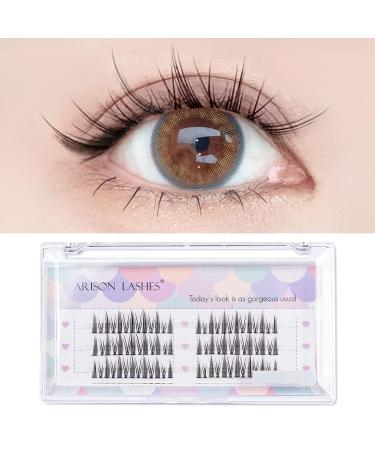 Individual Lashes Manga Lashes Cluster Lashes DIY Eyelashes Extensions Natural Look Wispy Anime Cosplay False Eyelashes with Bottom Lashes Easy to Use for Beginners by Arison Lashes 1 Count (Pack of 1) COS Mini
