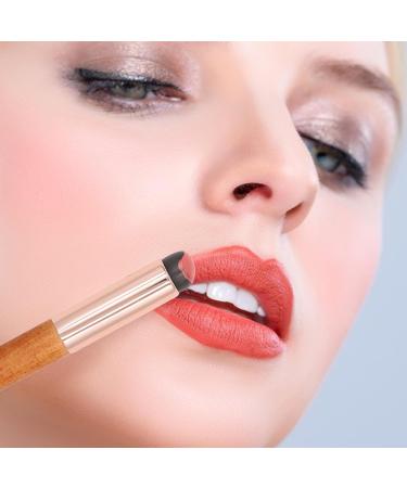 Lip Brush Reusable Lipstick Brush Makeup Brush Makeup Beauty Brushes Soft Travel Beauty Lip Brush Round Tip Silicone Lip Applicator Makeup Beauty Tool for Smoother and Fuller Lip Appearance Wood color - Buy Online on GoSupps.com