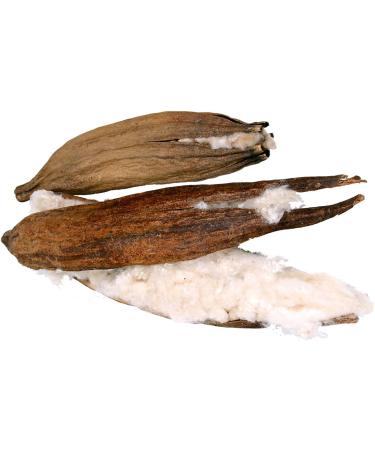 Buy JR Cotton Pod (Kapok Pod) - Set of 4 | Eco-Friendly & Sustainable Shipping Worldwide - Buy Online on GoSupps.com