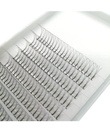 Natural Soft 3D Premade Volume Lashes | C Curl & D Curl | 0.10mm Thickness | 8mm to 15mm | Oxy Black | Soft False Eyelash Extensions - Buy Online on GoSupps.com
