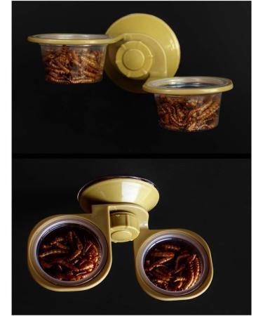 VILLCASE Gecko Feeding Ledge Gecko Feeder Ledge Suction Cup Feeder for Small Reptiles - Buy Online on GoSupps.com