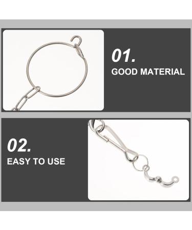 CIYODO 1 Set Parrot Anklet Parrot+Ring+Foot Bird Harness Parrot Foot Ring Bird Leash Conure Stainless Steel 23X4X0.1cm Silver - Buy Online on GoSupps.com