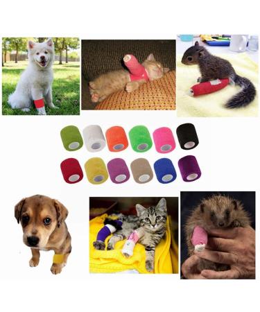 12 Pack Self Adhesive Bandage Wrap for Pets - 2 x 5 Yards Each - Assorted Colors - Buy Online on GoSupps.com