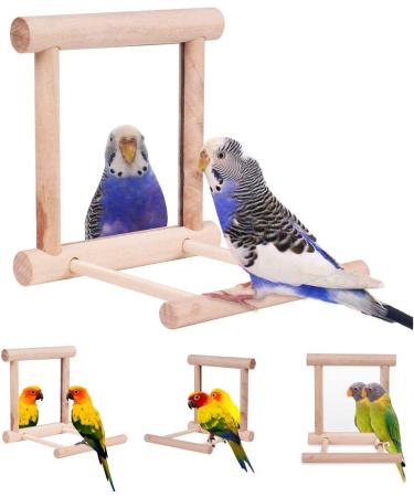 2Pcs Bird Mirror & Swing Toy for Budgies, Parrots, Love Birds - Fun Playtime in Cage - Buy Online on GoSupps.com