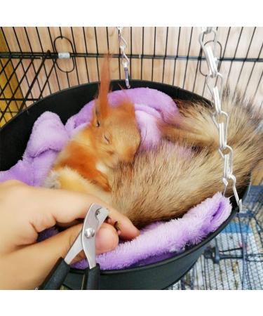 Professional Rabbit Nail Clippers: Stainless Steel Claw Trimmer for Small Animals - Guinea Pig, Ferret, Hamsters, Chinchilla, Sugar Glider - Grooming Supplies - Black - Buy Online on GoSupps.com