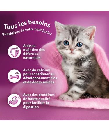 WHISKAS Kitten Meal 48 Fresh Sachets (Pack of 4 Packs 12 x 85g) Poultry Feasts (4 Varieties) Junior Cat Food in Jelly - Buy Online on GoSupps.com
