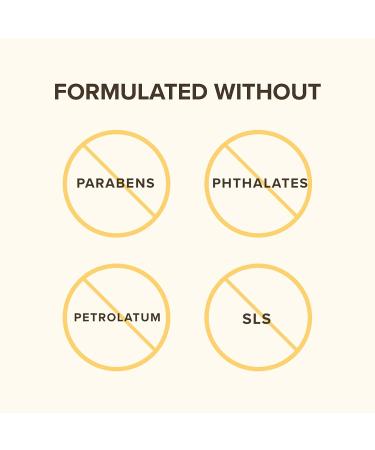 Burt's Bees Pomegranate Lip Balm 0.15 oz - 100% Natural Moisturizing Formula with Beeswax and Fruit Extracts - Buy Online on GoSupps.com