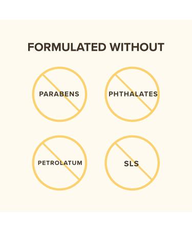 Burt's Bees Vitamin C Turmeric Face Serum - Brightens Skin, Reduces Dark Spots & Wrinkles - Lightweight Hydrating Booster (1 oz) - Buy Online on GoSupps.com