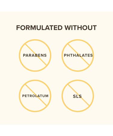 Burt's Bees Lip Balm Moisturizing Lip Care for All Day Hydration 100% Natural Pomegranate with Beeswax & Fruit Extracts (4 Pack) 0.15 Ounce (Pack of 4) - Buy Online on GoSupps.com