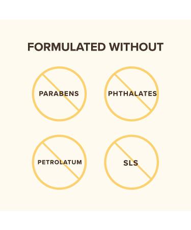 Burt's Bees Lip Care Stocking Stuffers Set - Berry Sorbet, Sweet Peach, Watermelon Rush - Buy Online on GoSupps.com