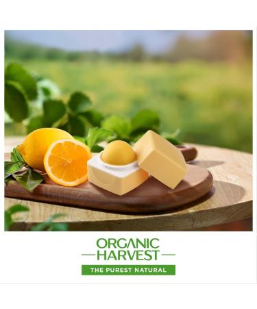 SPF Lip Balm with Lemon Oil | Paraben & Sulphate-Free | Unisex Protection | 10g Skin Care - Buy Online on GoSupps.com