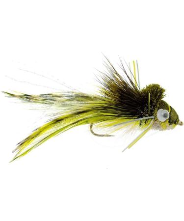 Fly Fishing Place Bass Bug Collection - Set of 12 Bass Fly Fishing Flies - Surface Poppers, Divers, Subsurface - Hook Sizes 2, 4, 6 - Buy Online on GoSupps.com