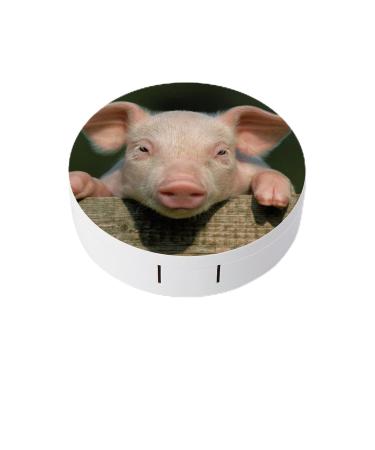 Cute Pig Contact Lens Travel Kit Portable Cute Contact Box with Mirror for Daily Outdoor style