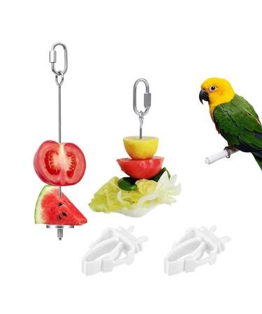 Budgie Food Holder 4PCS Stainless Steel Parrot Skewer Feeder and Plastic Bird Food Clips Set Bird Treats Fruit Stick Holder Clip Foraging Toy for Parrot Budgie Parakeet Cockatiel Cage