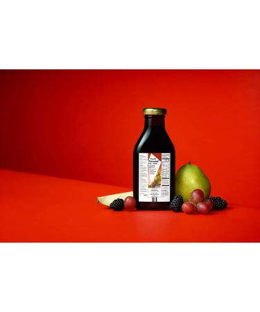 Floradix Floravital Iron & Herb Vegan Liquid Supplement 23 Fl Oz - Energy Support - Buy Online on GoSupps.com