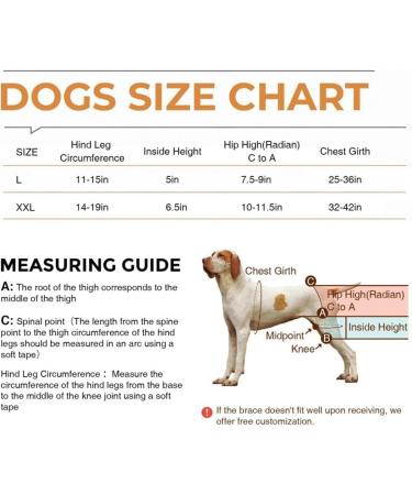 Dog Knee Brace for Torn Hind Leg or Back Leg Adjustable Pet Dog Rear Leg Bracer Support for Joint Pain Muscle Sore Knee Cap Dislocation Black for Injury Arthritis ACL Pain Relief(XX-Large) - Buy Online on GoSupps.com