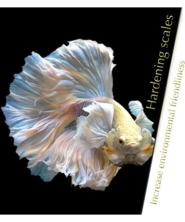 Indian Almond Leaves Leaf (15 25 Pieces) BettaLeaf 50 Grams Pack | 20-25cm. | Best Gold Brown Quality | Fish Tank for Betta Fish Shrimp Crayfish for Fish Healthy & Comfort - Buy Online on GoSupps.com