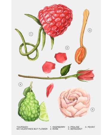 Zara Weekly Mood Thursday - No Valentines But Flowers Perfume for Women EDP Eau De Parfum 75 ML (2.54 FL OZ) - Buy Online on GoSupps.com