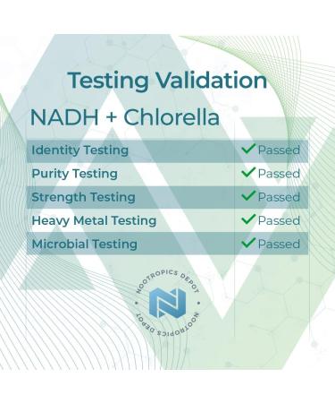 Nootropics Depot NADH + Chlorella vulgaris (Broken Cell) 400mg Capsules | Nicotinamide Adenine Dinucleotide 20mg | Chlorophyll 10mg | Energy Alertness Mental Clarity & Healthy Aging 30 Count 30 Count (Pack of 1) - Buy Online on GoSupps.com