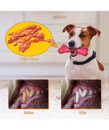 Peteast Dog Toys Durable Dog Chew Toys for Aggressive Chewers Bacon Flavored Tough Natural Rubber & Teeth Cleaning Chewing Bones for Large/Medium/Small Dogs - Buy Online on GoSupps.com