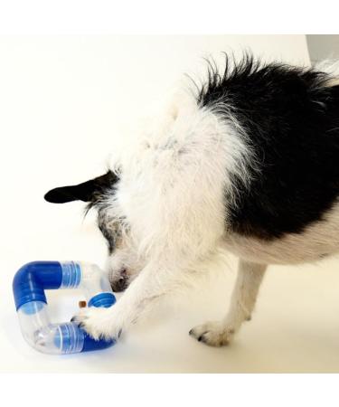 Outward Hound Planet Dog Orbee-Tuff Snack Ball for Dogs | Royal Blue Links - Premium Dog Toy | International Shipping Available - Buy Online on GoSupps.com