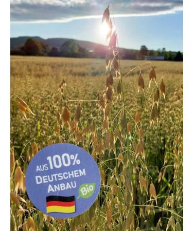 Buy 2500g German Organic Oat Bran Flour - High Protein & Fiber | Fine Ground Nutrient-Rich - Buy Online on GoSupps.com