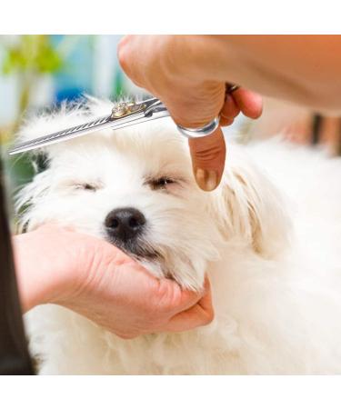 Buy Dream REACH Professional Dog Care Scissors | 7-Inch Chunking Shears | 440C Japanese Stainless Steel | 25%-35% Thinning Rate | International Shipping - Buy Online on GoSupps.com