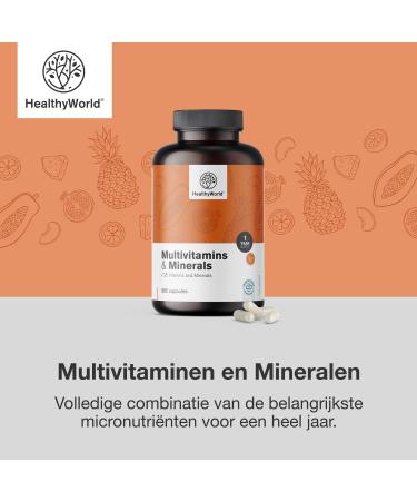 Be Healthy Group doo Multivitamins and Minerals 25 Vitamins and Minerals 365 Capsules 1 Year Supply Vegetable Capsules Immune System Energy Boost Valuable Vitamins from A to Z - Buy Online on GoSupps.com