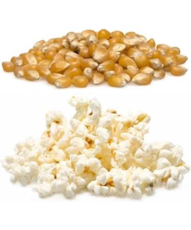 Seba Garden GMO FREE Popcorn Kernels from Argentina - 1kg (Pack of 1) | Resealable Ziplock Bag - Buy Online on GoSupps.com