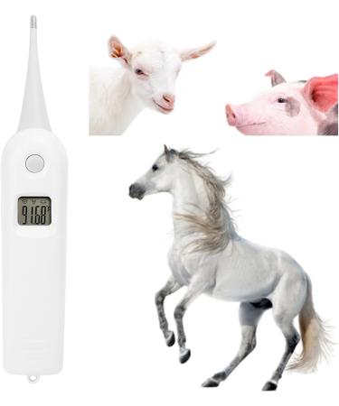 Fast Digital Veterinary Thermometer for Livestock | Anus Thermometer for Pigs, Cattle, Sheep & Pets - Buy Online on GoSupps.com