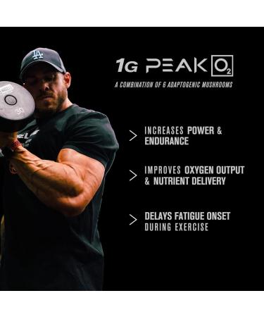 Jacked Factory Build-XT Daily Muscle Builder and Performance Enhancer (60 Capsules) & Essentials Muscle Building Supplement for Strength and Growth (30 Capsules) - Buy Online on GoSupps.com