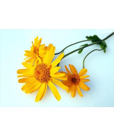 Teteseept Meeressalz Muscle & Movement - Soothing Bath Salt with 5 Essential Oils for Muscle Relief - 80g Natural Sea Salt Additive - Buy Online on GoSupps.com