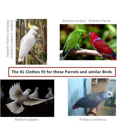 Kuso XL Reusable Washable Diapers for Parrots | Aviation Suit Kimono & Clothing for Birds - Budgies Cockatoos African Grey & More (Pink) - Buy Online on GoSupps.com