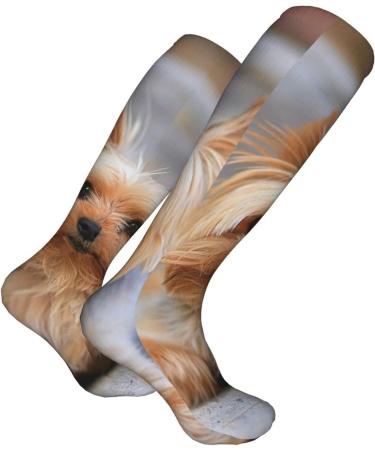 Miniature Yorkshire Terrier Photo Compression Socks for Men & Women - 15-20 mmHg Circulation Support for Running & Cycling - Buy Online on GoSupps.com