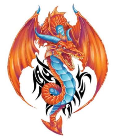 Fantasy Dragons Temporary Tattoos - Set of 10 Colorful Dragon Designs - Buy Online on GoSupps.com