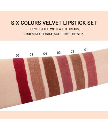 Evpct 6Pcs Silky Velvet Matte Liquid Lipstick Set for Women - Long Lasting 24 Hours Color Stay Lip Gloss in Brown, Nude, Pink, Mauve, Red & Maroon - Buy Online on GoSupps.com